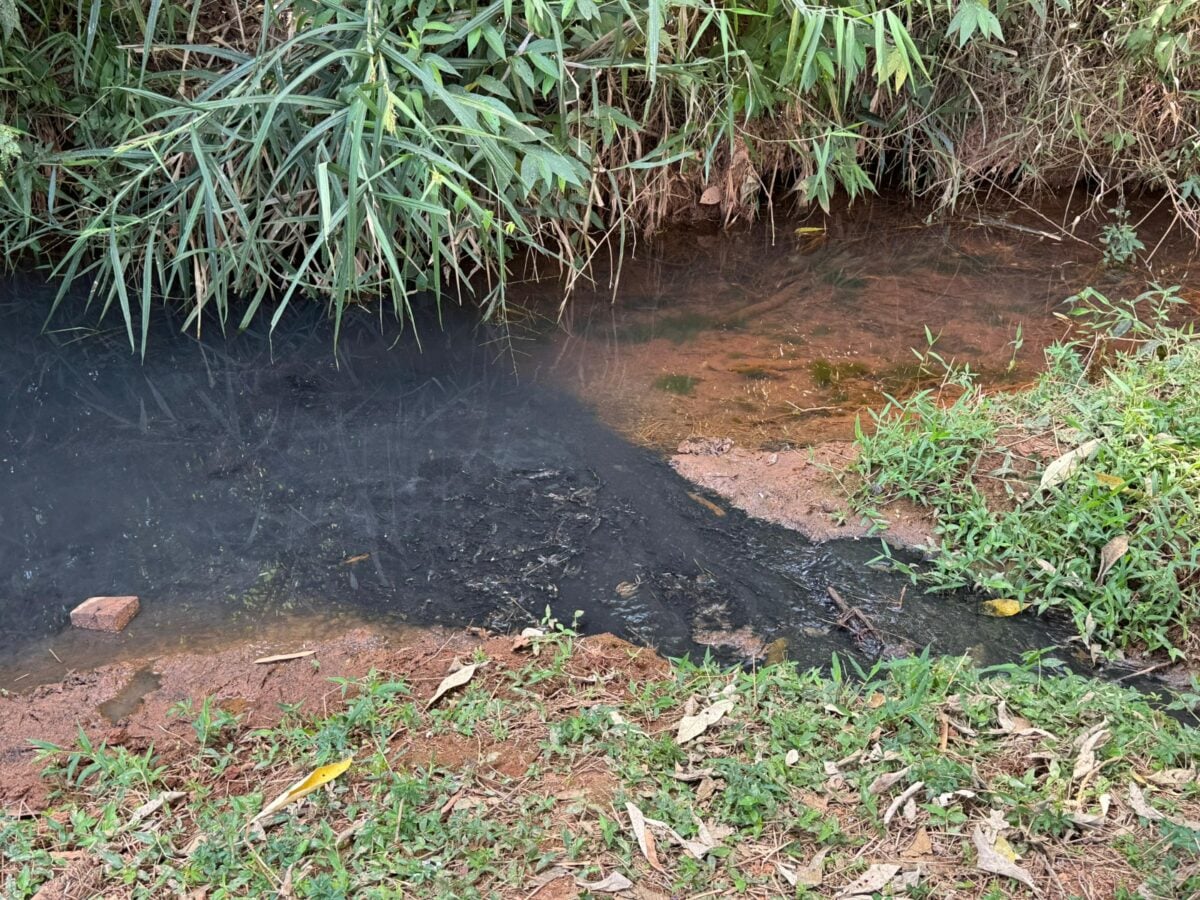 Saae se pronuncia após denúncia de despejo de esgoto em córrego que deságua na ETA Pureza