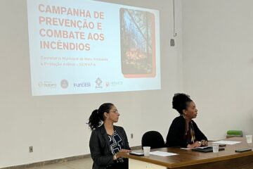Queimadas em Itabira: município amplia fiscalização e ações educativas para proteger saúde e meio ambiente