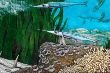 Cientistas brasileiros identificam nova espécie de peixe pré-histórico