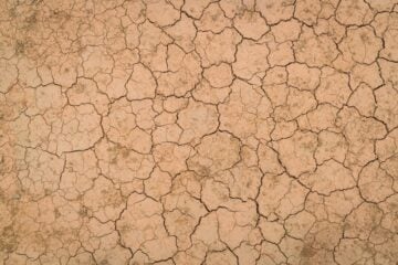 Céu limpo e ar seco marcam a terça-feira