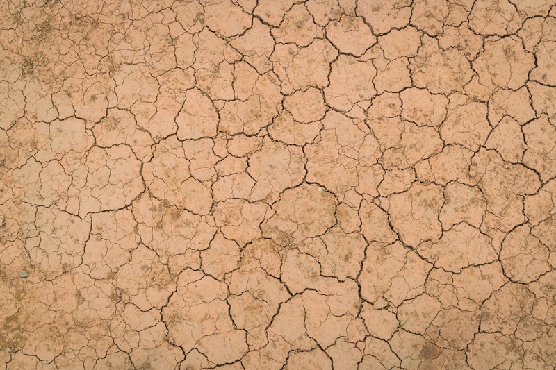 Céu limpo e ar seco marcam a terça-feira