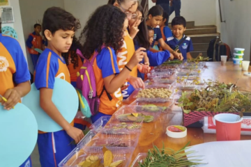 Conceição do Mato Dentro celebra Dia da Árvore com ações educativas no Parque do Tabuleiro