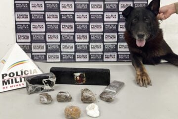 Cão farejador auxilia PM de Itabira a encontrar drogas no bairro Bela Vista