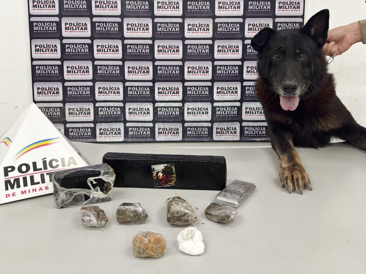 Cão farejador auxilia PM de Itabira a encontrar drogas no bairro Bela Vista