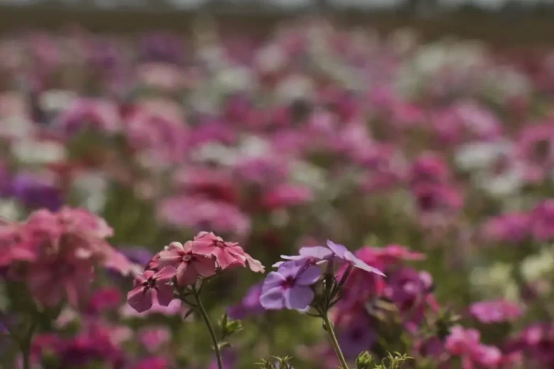 Primavera começa com frente fria, temporais e fortes ventos