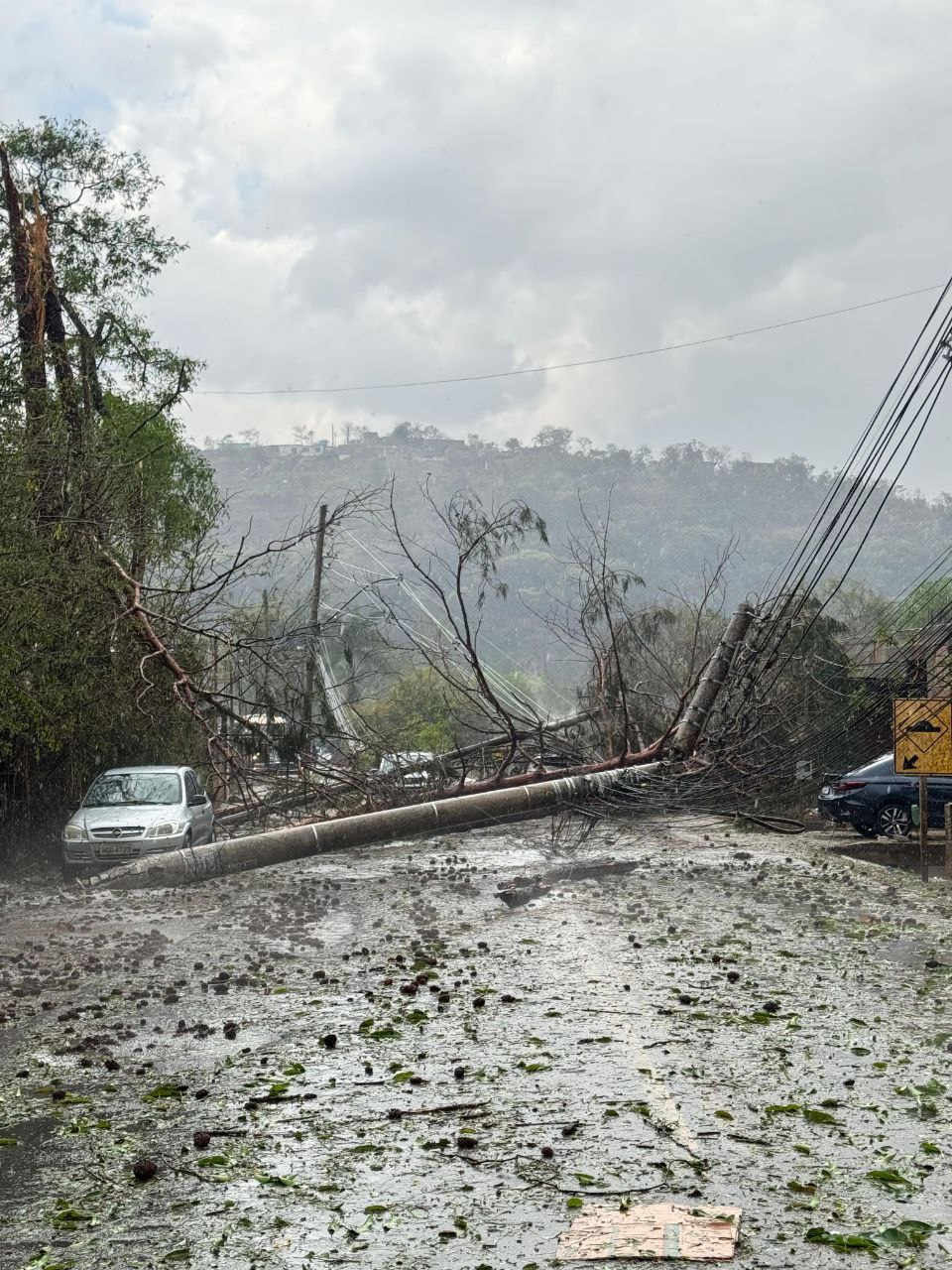 Queda de árvores na MG-030 causa acidente em Nova Lima