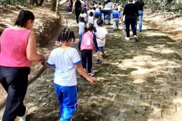 O Dia da Árvore será comemorado com diversas atividades em São Gonçalo do Rio Abaixo