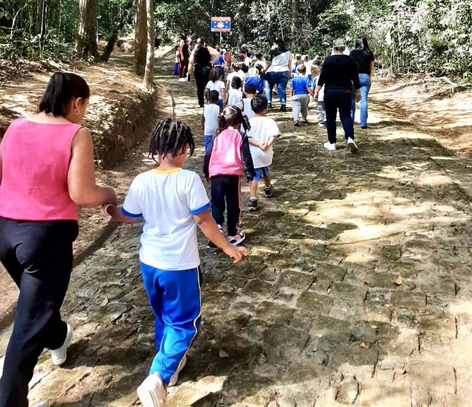 O Dia da Árvore será comemorado com diversas atividades em São Gonçalo do Rio Abaixo