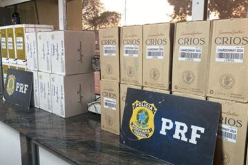 PRF apreende medicamentos proibidos, anabolizantes e eletrônicos na BR-381