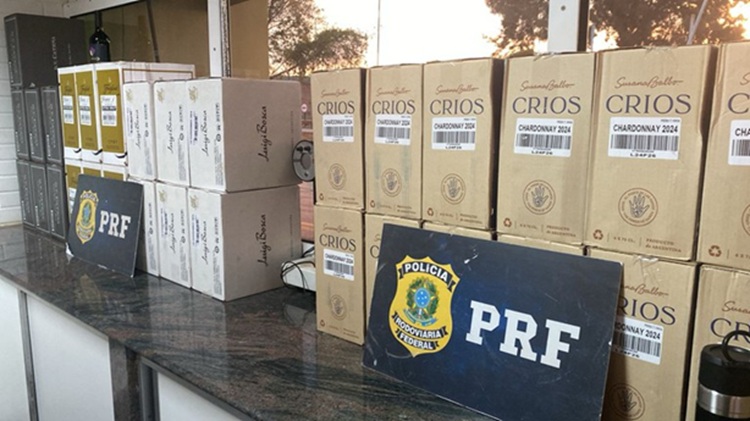 PRF apreende medicamentos proibidos, anabolizantes e eletrônicos na BR-381