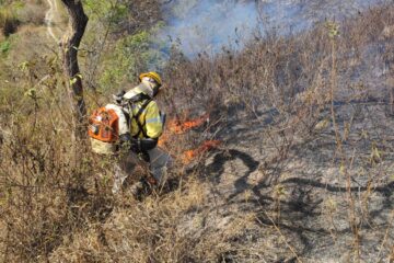 Em média, Instituto Bromélia combateu mais de um incêndio por dia em Itabira no mês de agosto