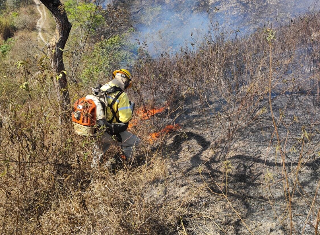 Em média, Instituto Bromélia combateu mais de um incêndio por dia em Itabira no mês de agosto