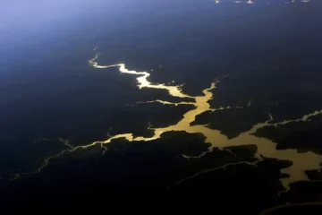 Estudo aponta que captura de carbono na Amazônia está em risco