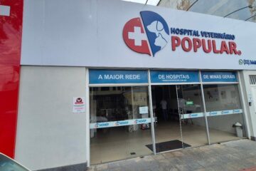 Para 72% dos empreendedores, a inovação é essencial para a sobrevivência do negócio