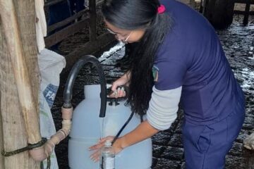 São Gonçalo do Rio Abaixo: parceria com a UFMG promove melhorias na produção de leite
