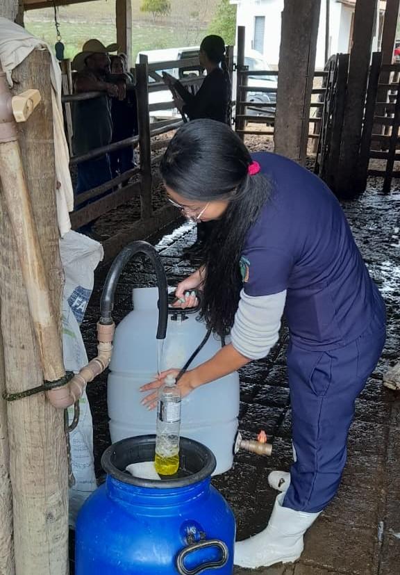 São Gonçalo do Rio Abaixo: parceria com a UFMG promove melhorias na produção de leite
