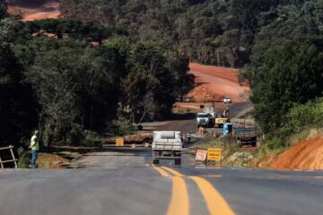 Como fósseis de lagarto mais antigo que dinossauros impediram obra em rodovia no Paraná