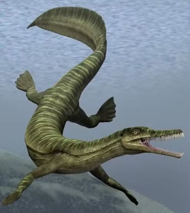 Como fósseis de lagarto mais antigo que dinossauros impediram obra em rodovia no Paraná