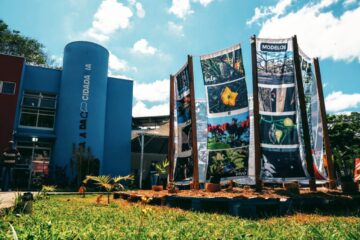 “O Planeta em Seu Quintal”: exposição em Itabira promove troca de mudas na Casa da Cidadania; saiba mais