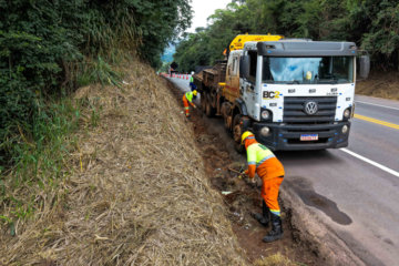 Obras na BR-381 neste domingo (2) focam em limpeza e poda de árvores