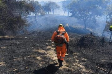 Fogos de artifício podem ter causado incêndio em área de vegetação em Minas Gerais