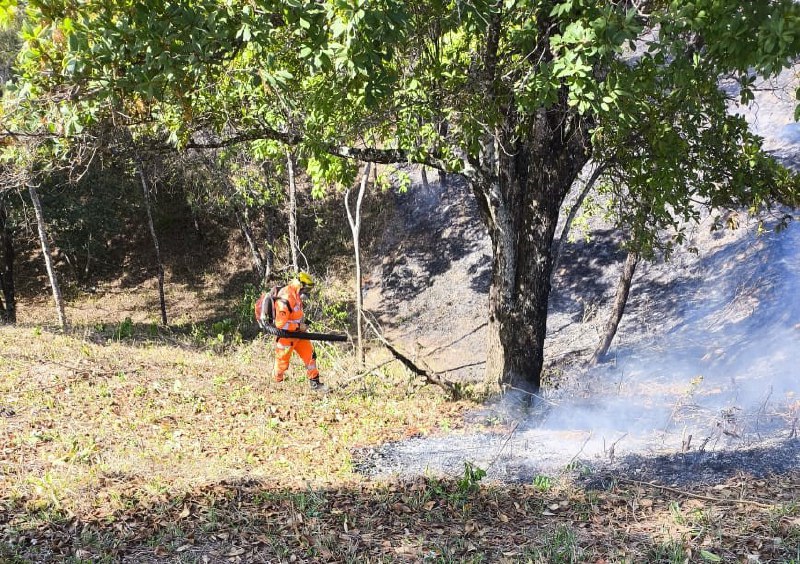 Fogos de artifício podem ter causado incêndio em área de vegetação em Minas Gerais