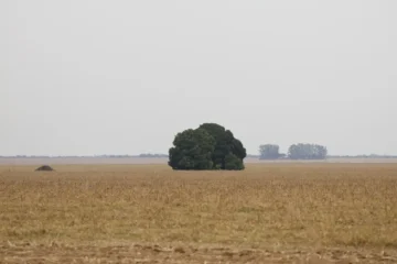Facções criminosas descobrem o agronegócio brasileiro e invadem o setor
