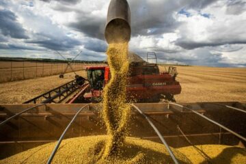China barra 69 mil toneladas de soja do Brasil, trigo com pesticida e suspende compras de cinco gigantes do agro brasileiro