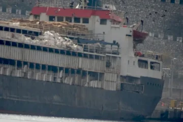 Navio com 3 mil cabeças de gado está em alto-mar há dois meses com mortes e nascimentos a bordo