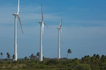 Financiamento climático dobra no Brasil e chega a US$ 67,8 bi