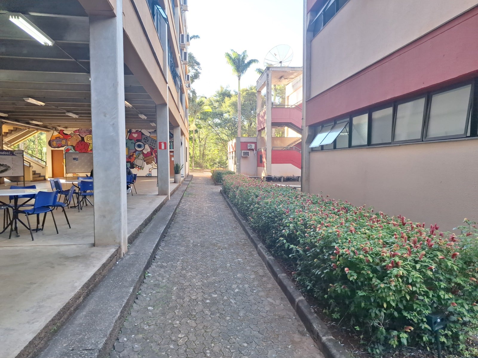 Funcesi realiza nova edição do Café com Ciência com programação aberta ao público