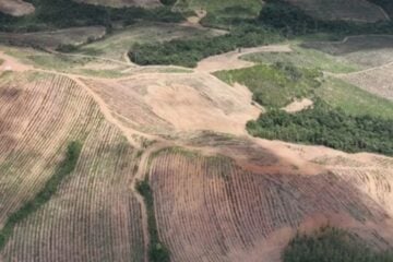Ministério de Minas e Energia anuncia início da elaboração da Estratégia Nacional de Terras Raras