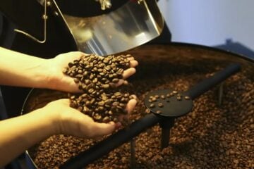 EUA reduzem tarifas para café, laranja, carne bovina e outros produtos