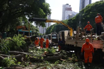 Dois dias após ciclone; SP ainda tem 800 mil moradores sem energia
