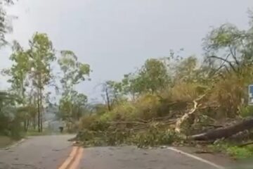 Tempestade derruba árvores na Estrada do Forninho, entre Itabira e João Monlevade