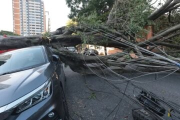 Comércio perde mais de R$ 50 milhões com falta de energia em São Paulo