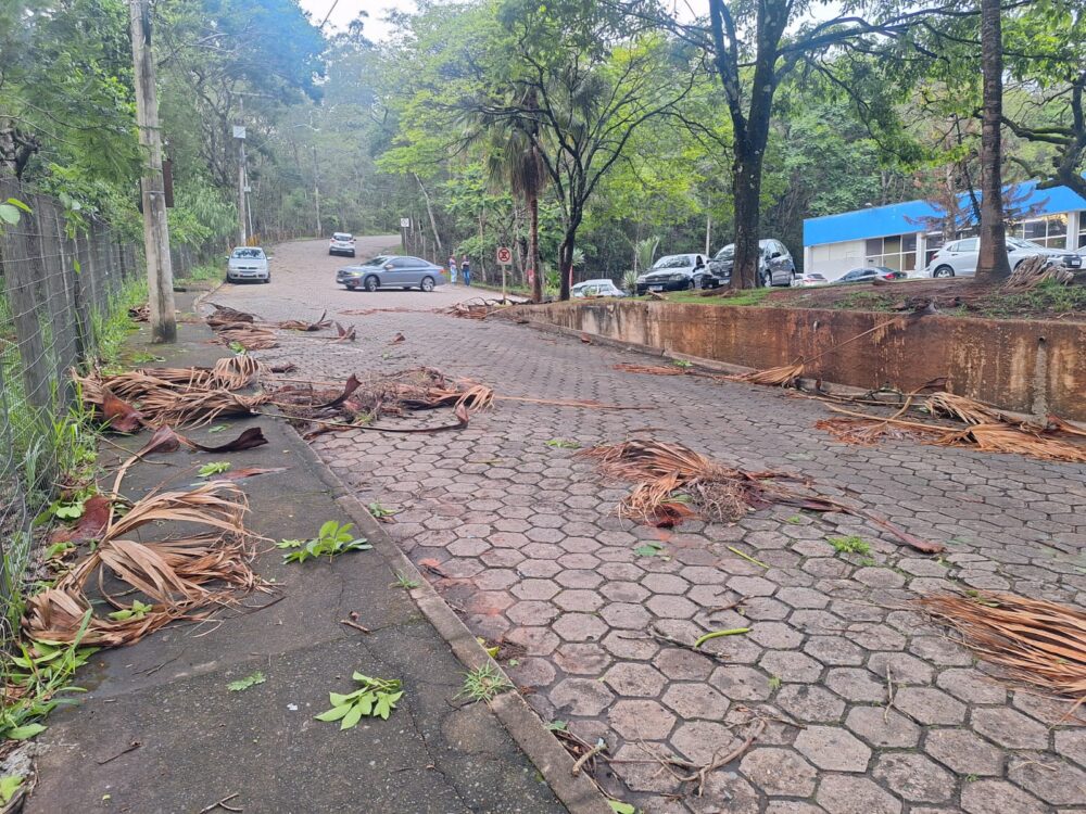 Temporal provoca quedas de galhos, falta de energia e mobiliza bombeiros em Itabira