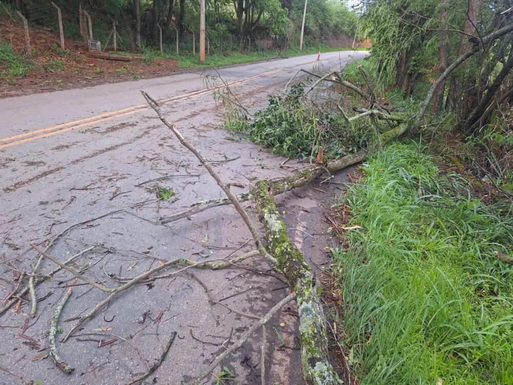 Temporal provoca quedas de galhos, falta de energia e mobiliza bombeiros em Itabira