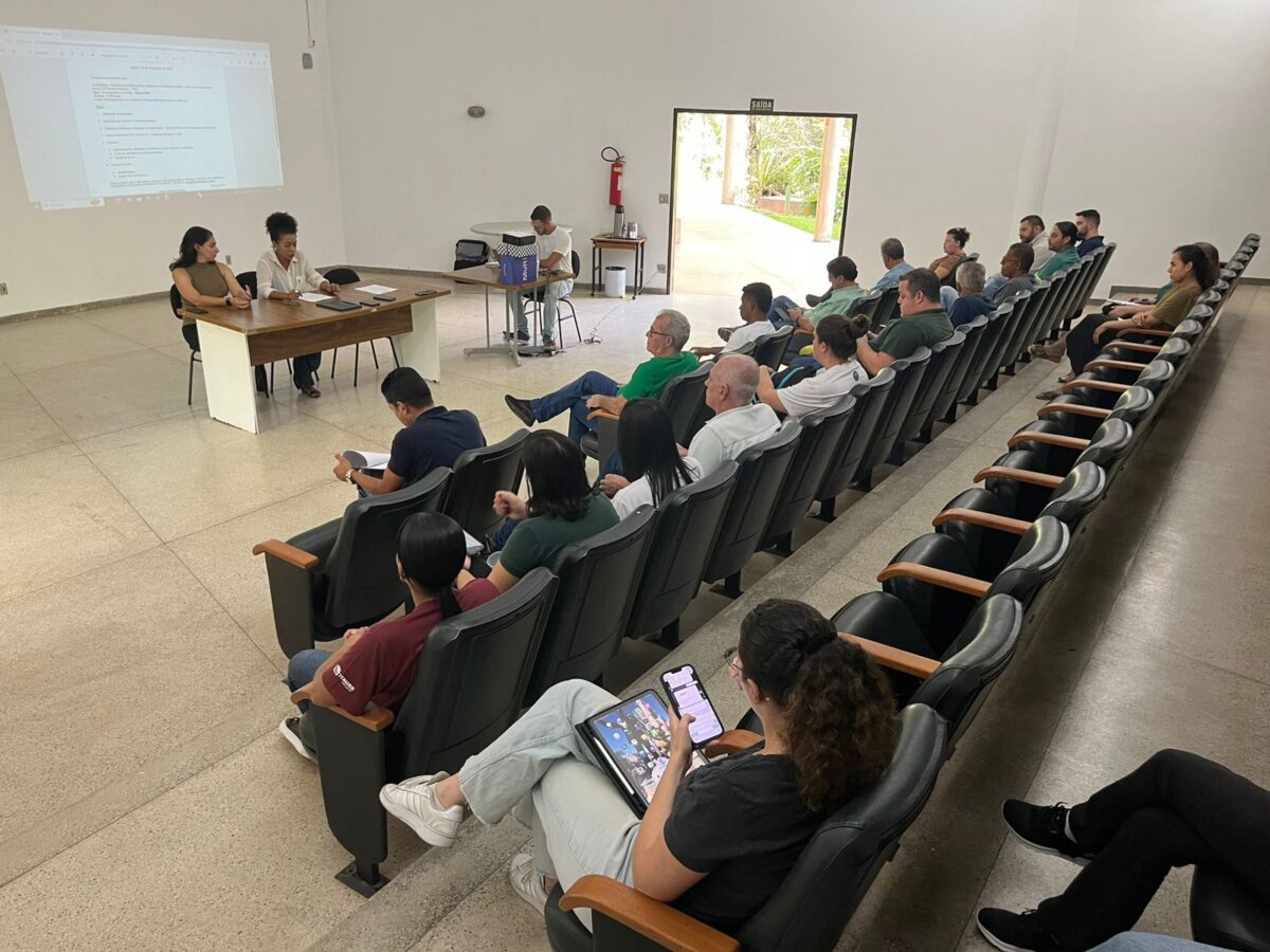 Após pedido de vistas, Codema aprova por unanimidade nova linha de transmissão de energia elétrica em Itabira