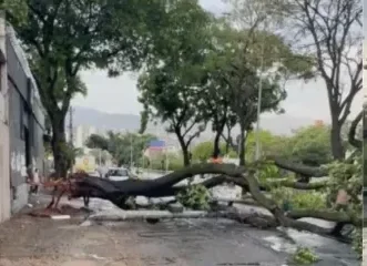 BH registra temporal com granizo, quedas de árvores e bloqueios no trânsito nesta segunda (1)