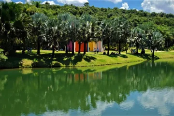Museu Inhotim tem recorde de visitação em 2025