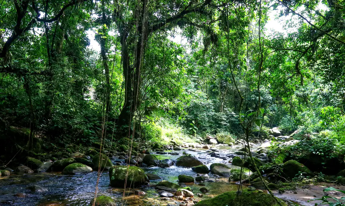 Projeto de lei busca proteger Mata Atlântica e nascentes com reserva biológica em Itabira
