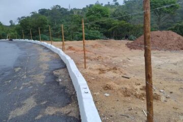 BH aposta em 2 mil mudas para recuperar área degradada no Granja Werneck