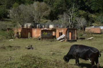 Ferramenta  garantirá transparência na gestão do Fundo Rio Doce