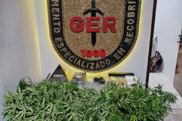 Homem é preso em Contagem por manter estrutura de cultivo e processamento de maconha