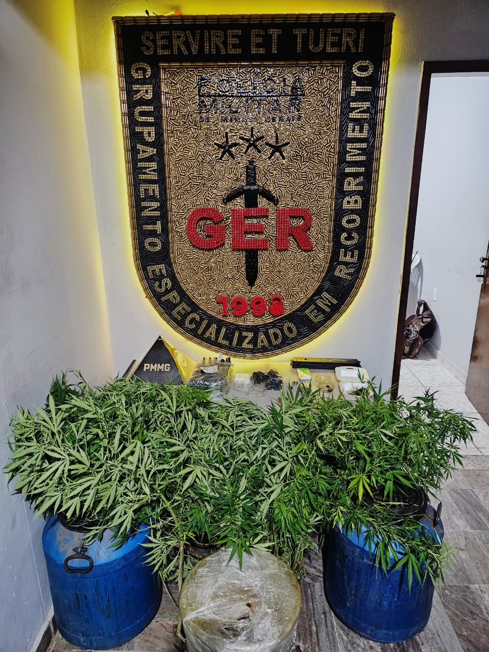 Homem é preso em Contagem por manter estrutura de cultivo e processamento de maconha