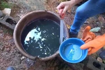 Itabira intensifica combate ao Aedes aegypti após mais de 1,1 mil notificações de dengue em 2025