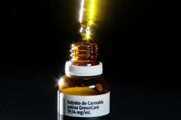 Anvisa autoriza cultivo de cannabis por empresas e amplia oferta de produtos medicinais no Brasil
