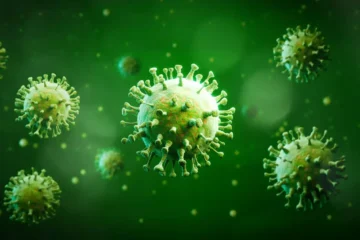 Surto de vírus Nipah na Índia deixa autoridades em alerta