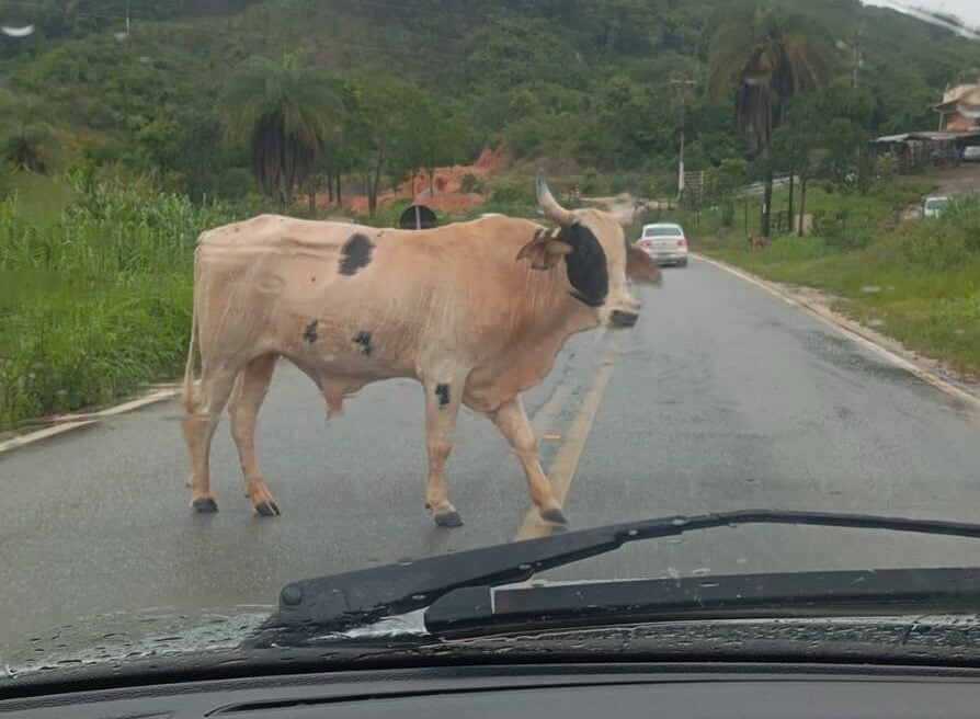 Trânsito na BR-381 testa a paciência de motoristas na volta para BH neste domingo